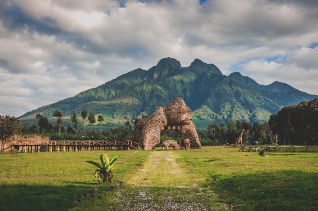 Le Grand Virunga à cheval entre le Rwanda, l'Ouganda et l'est de la République démocratique du Congo (RDC) couvre une superficie d'environ 7 800 Kilomètre carrés soit environ 950 000 terrains de football. Image de Aimable Twahirwa.