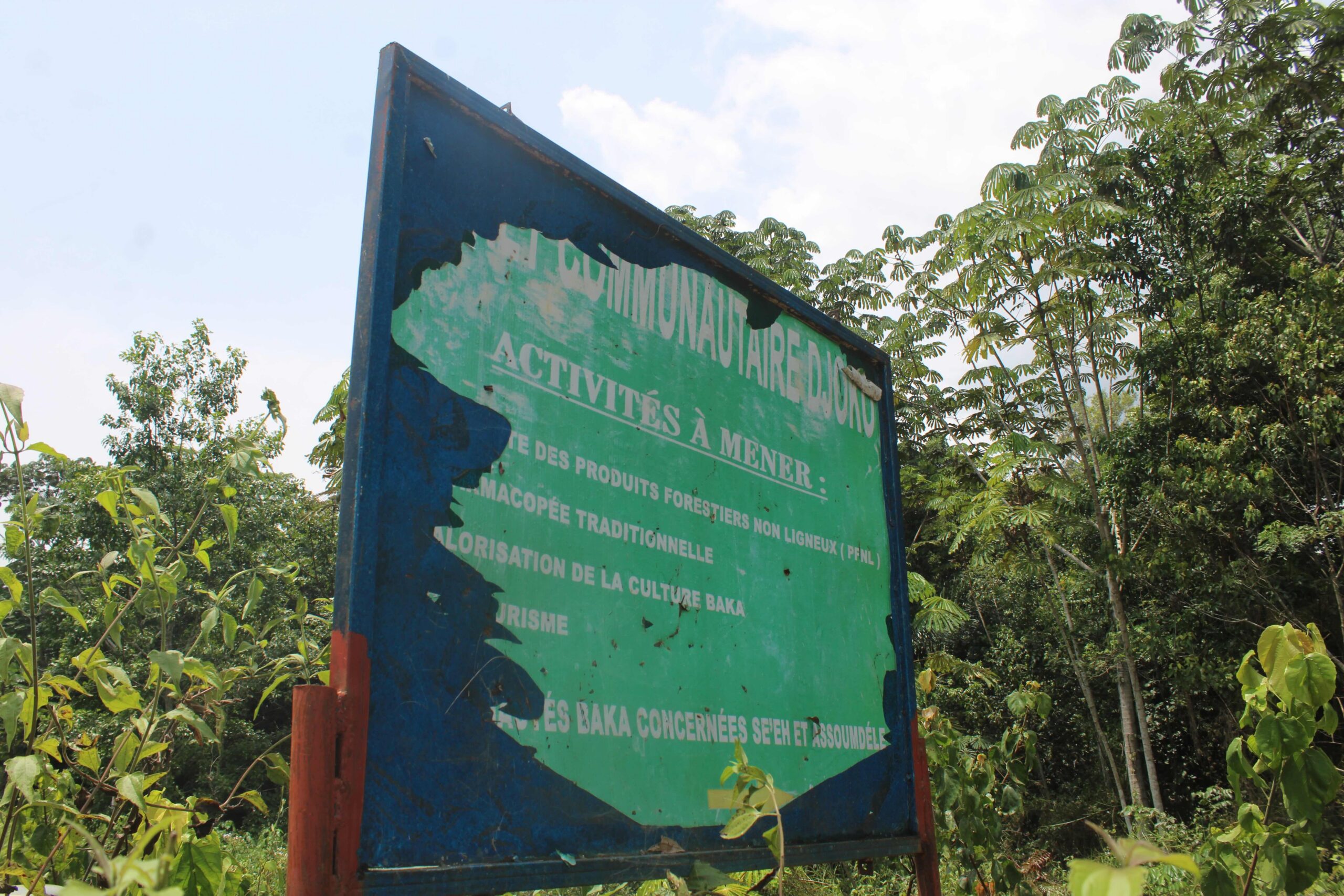 Une plaque indicative des limites de la forêt communautaire Djoko, appartenant aux peuples autochtones Baka de Se'eh et d'Assoumidele II, à l'est du Cameroun. Image de Yannick Kenné pour Mongabay Afrique. 