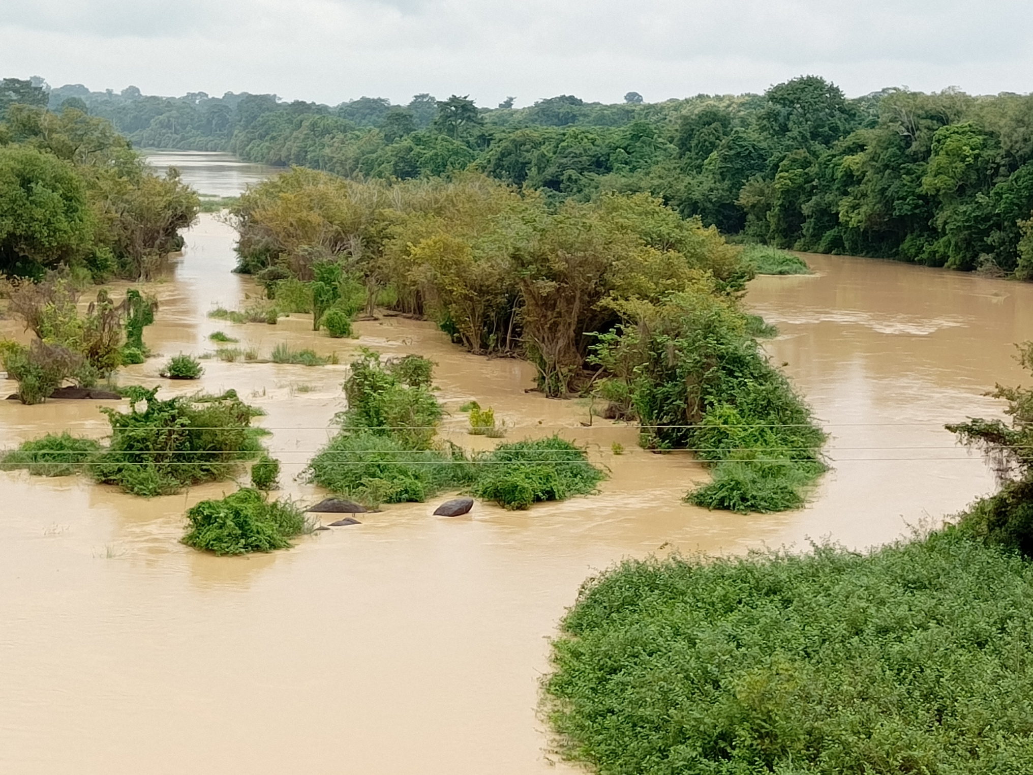 Le Comoé, le château d’eau du village d’Amoikonkro pollué par l’orpaillage clandestin. Image de Ella Djiguimde pour Mongabay.