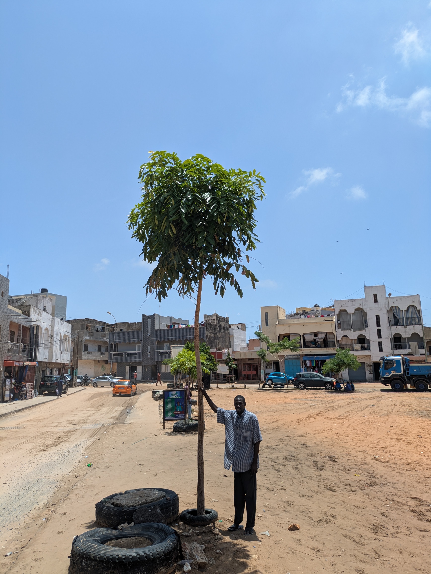 Des initiatives communautaires de plantation d’arbres, notamment celles impliquant les jeunes visent à accroître le couvert arboré urbain et à aider la ville de Dakar à s’adapter à la hausse des températures. Image de Alioune Badara Gueye/Municipalité de Keur Massar Nord.