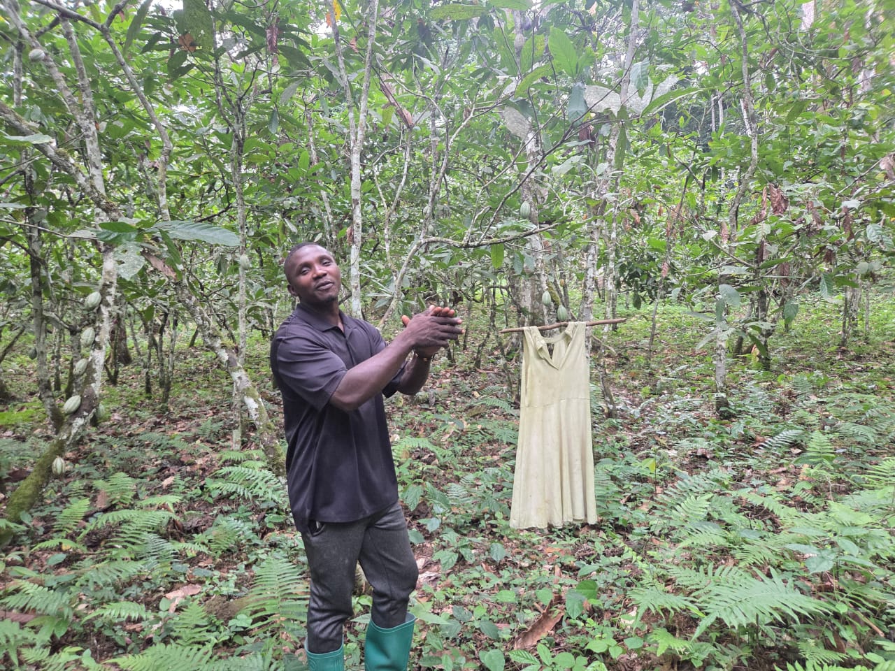 L'expert chargé du suivi des plantations cacaoyères, Tanguy Zame Mebiame, dans la plantation de Armand Ze Minko dans le village Zoebefam-Mintom, au Sud du Cameroun. Image de Yannick Kenné pour Mongabay.