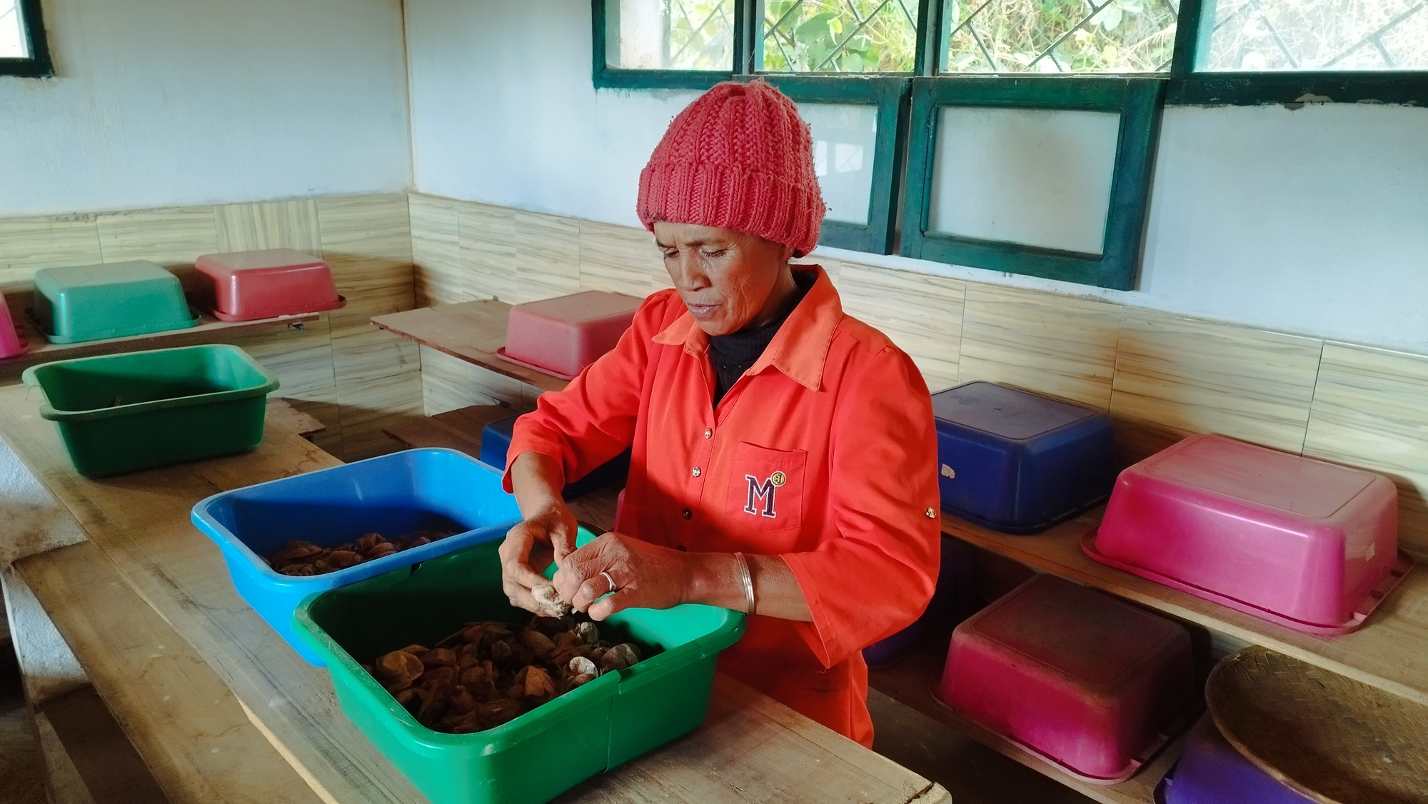 Joséphine Rabakoliarimanana, éleveuse de vers à soie et bénéficiaire du projet Tapia, préparant des cocons de landibe. Image de Valisoa Rasolofomboahangy pour Mongabay.