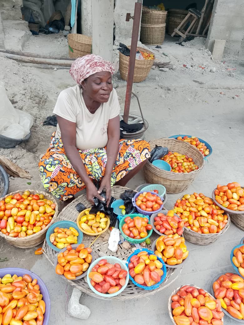 Une vendeuse de tomate dans le marché de Cococodji dans la commune d’Abomey-Calavi, au Bénin. Image de Didier Hubert Madafime pour Mongabay.