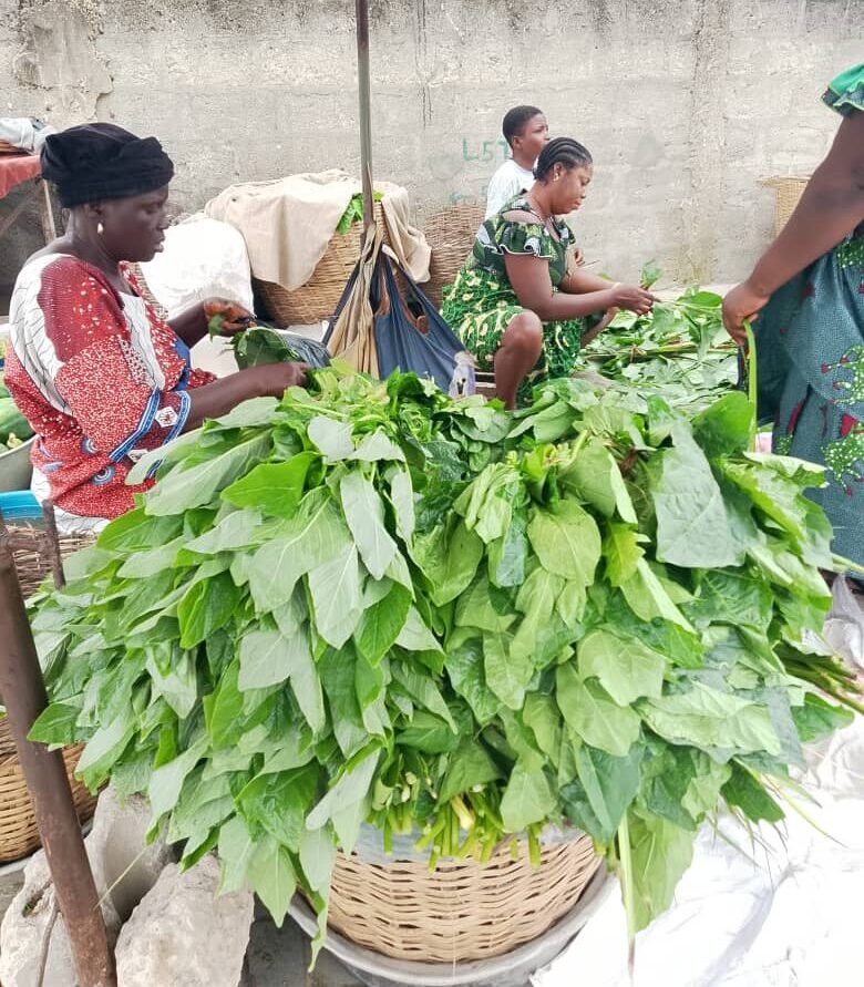Du concombre, à tchiayo [Ocimum gratissimum], en passant par le crincrin et le vernonia, le marché béninois est régulièrement alimenté de légumes de toutes sortes. Image de Didier Hubert Madafime pour Mongabay.