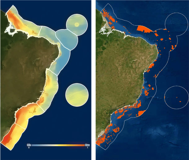 Estudo traça mapa inédito da conservação marinha no Brasil Notícias ambientais