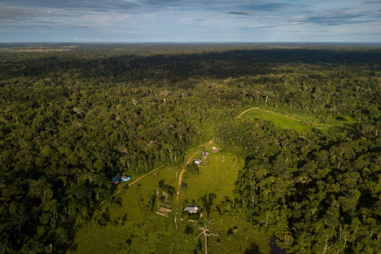 "A proteção à Amazônia precisa estar na pauta dos candidatos", afirma Ângela Mendes, filha de Chico Mendes