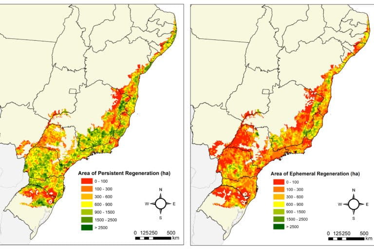 New Project Focuses on the Atlantic Forest of Southeastern Brazil