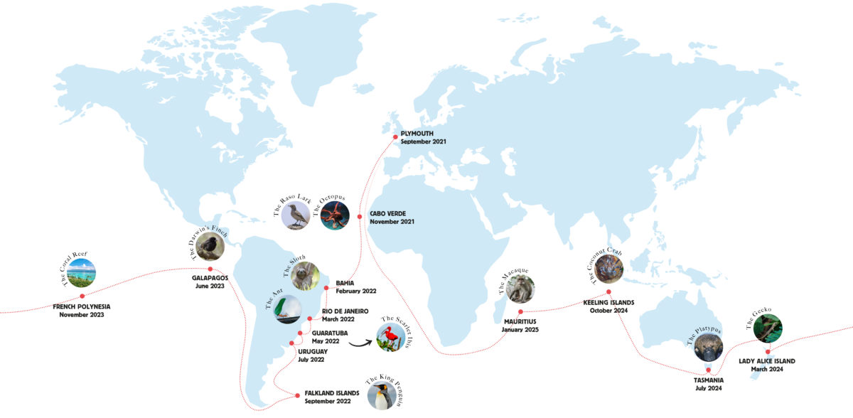 New Voyage Checks In On Darwin S Species Nearly 200 Years After Beagle   CaptainDarwin Map Updated E1659451885719 