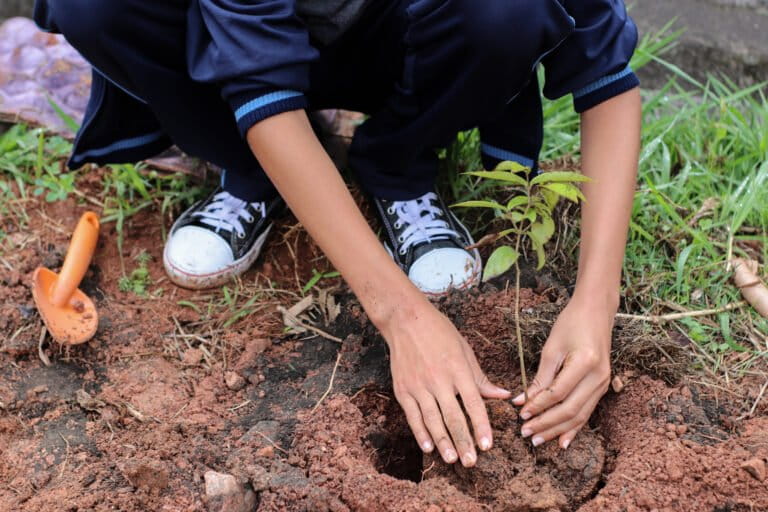 Quatro mil alunos plantam quase 10 mil árvores em escolas públicas de São Paulo