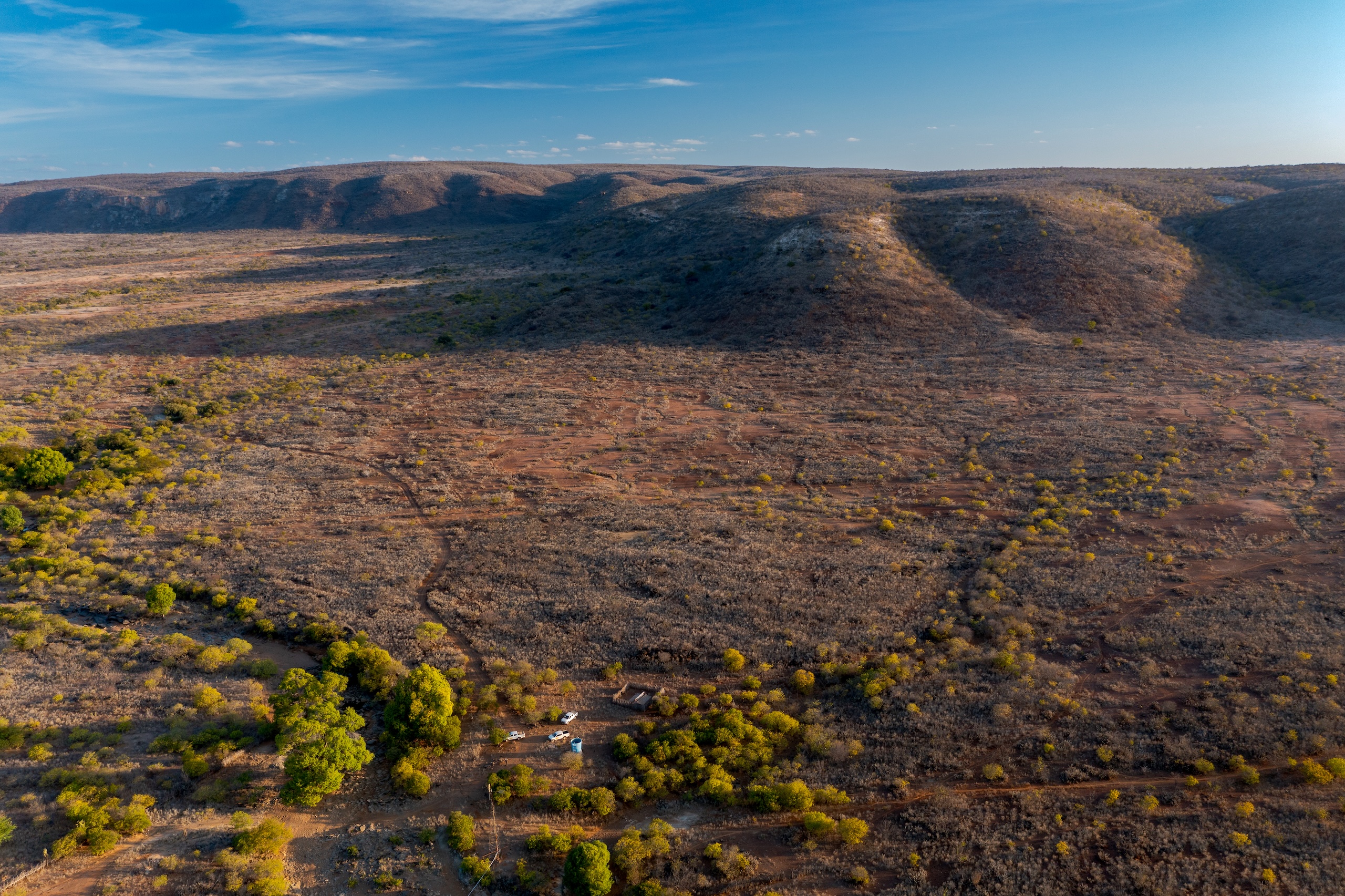 Programa de reintrodução das ararinhas-azuis é alvo de denúncias por omissão e manejo inadequado