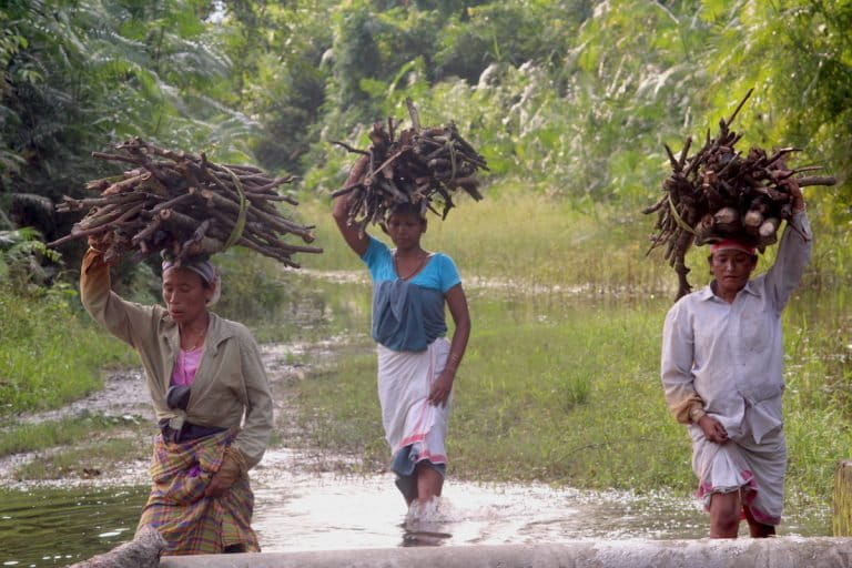 768px x 512px - The women in Assam who live alongside rhinos