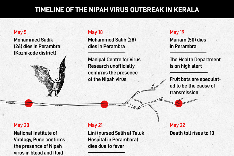 Nipah Infection In Kerala Don T Blame The Bats Alone Improve Public Health