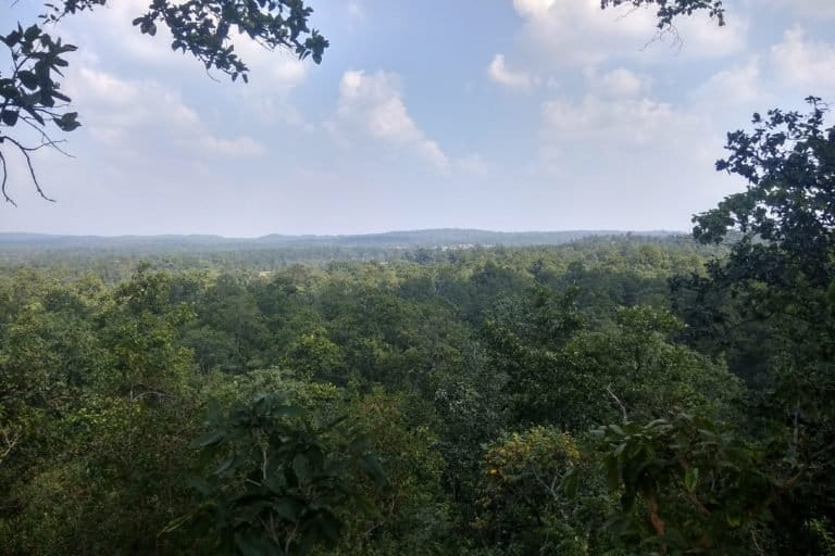 The Hasdeo Arand forest region in Chhattisgarh. Photo by Mayank Aggarwal/Mongabay.