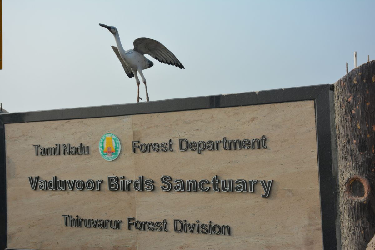 The government hopes to steadily refine the facilities available at the birds’ haven to attract tourists and boost research. Photo Credit: Vasudevan Sridharan The government hopes to steadily refine the facilities available at the birds’ haven to attract tourists and boost research. Photo Credit: Vasudevan Sridharan