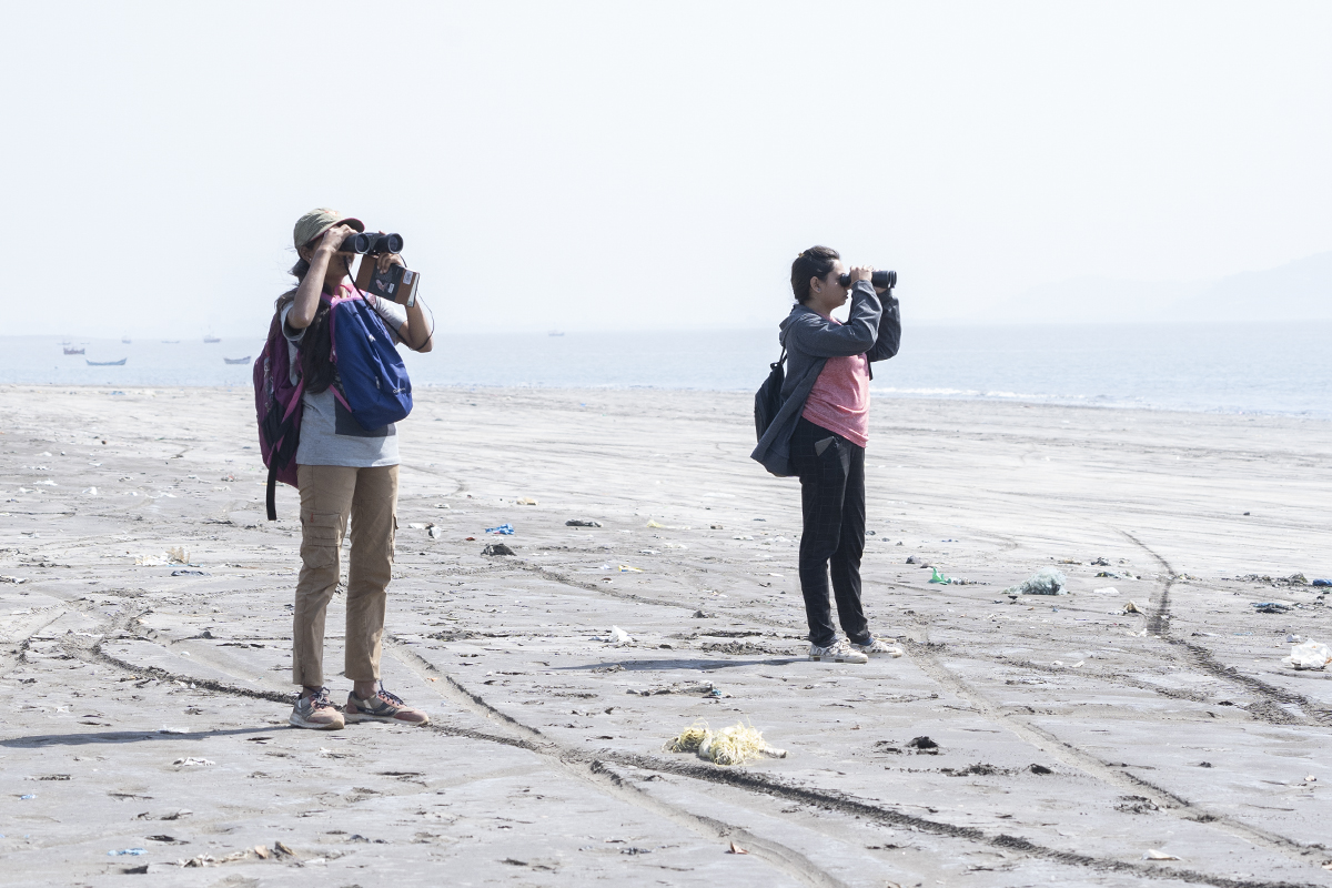 Participants of the 2019 India Bird Race scan a beach for shorebirds in the Mumbai metropolitan region. Photo credit: Kartik Chandramouli. Participants of the 2019 India Bird Race scan a beach for shorebirds in the Mumbai metropolitan region. Photo credit: Kartik Chandramouli.