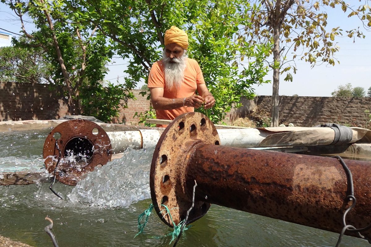 Many of the areas in Punjab have been overexploited for groundwater used for irrigation of paddy fields. Photo credit: Manu Moudgil. Many of the areas in Punjab have been overexploited for groundwater used for irrigation of paddy fields. Photo credit: Manu Moudgil.
