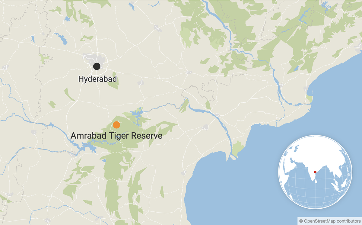 Telangana’s Amrabad tiger reserve is the second largest tiger reserve in India after Nagarjunsagar Srisailam tiger reserve. Credit: Datawrapper