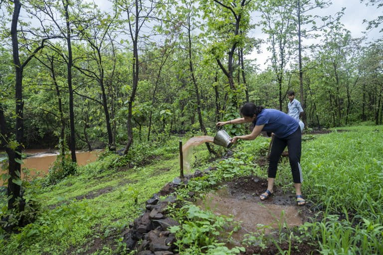 In 1994, a group of 24 nature lovers contributed and bought land in the outskirts of Mumbai for ecological conservation and regeneration. Vanvadi now organises occasional forest food walks and other nature-based events. Photo by Kartik Chadramouli/Mongabay.