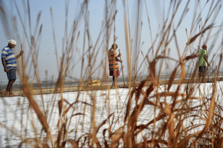 Salt pans are vital to Mumbai's ecology and act as a natural barrier to flooding. Photo by Uday Tadphale.