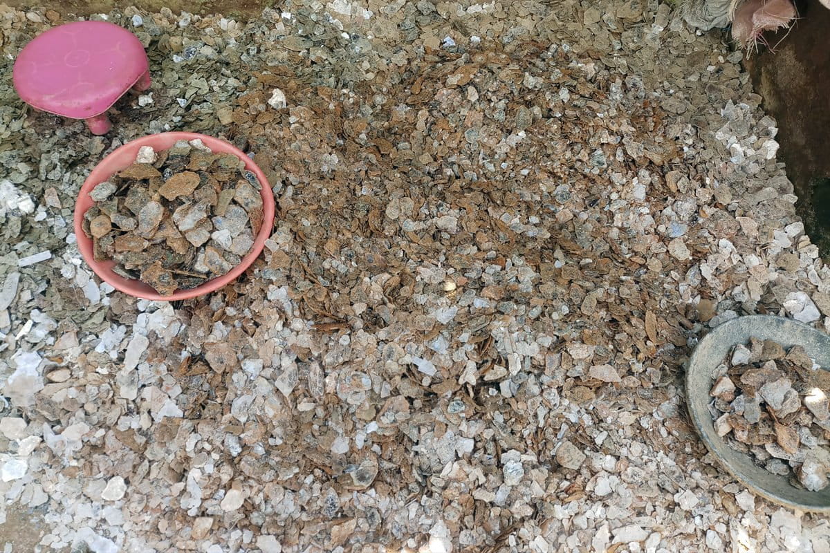 Mica scavenging in Jharkhand destroys lives and environment