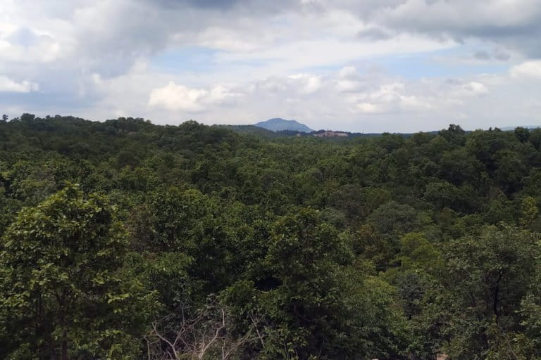 India's large reserves of mica are mostly found under forests in central and eastern parts of the country. Illegal mica mining also leads to massive deforestation and loss of wildlife. Photo by Gurvinder Singh.