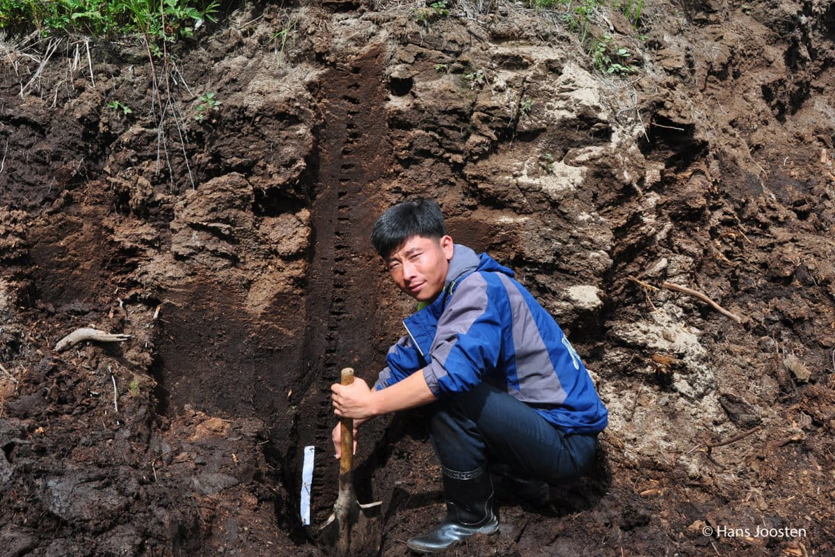 Peatlands are crucial carbon sinks but they are not on the map 