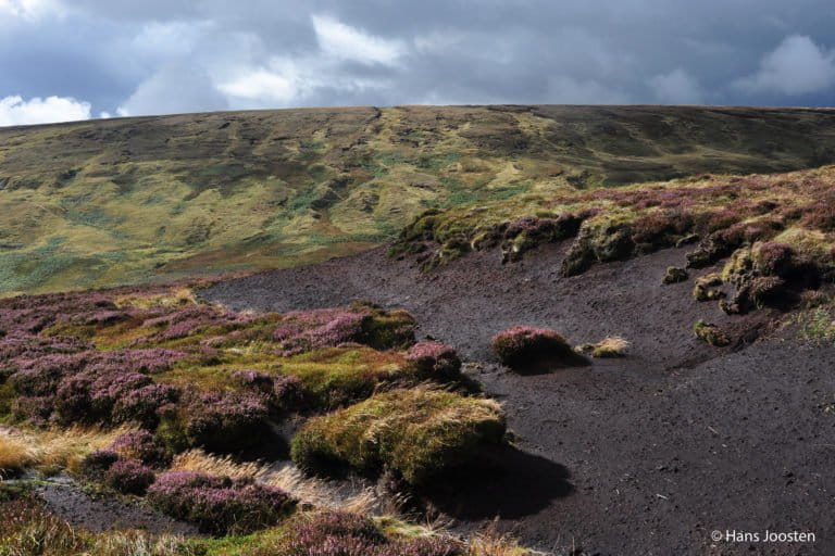 Drained peatlands occupy 0.4 percent of the world's land surface, and just this land is contributing to five percent of global anthropogenic emissions. Photo by Hans Joosten.