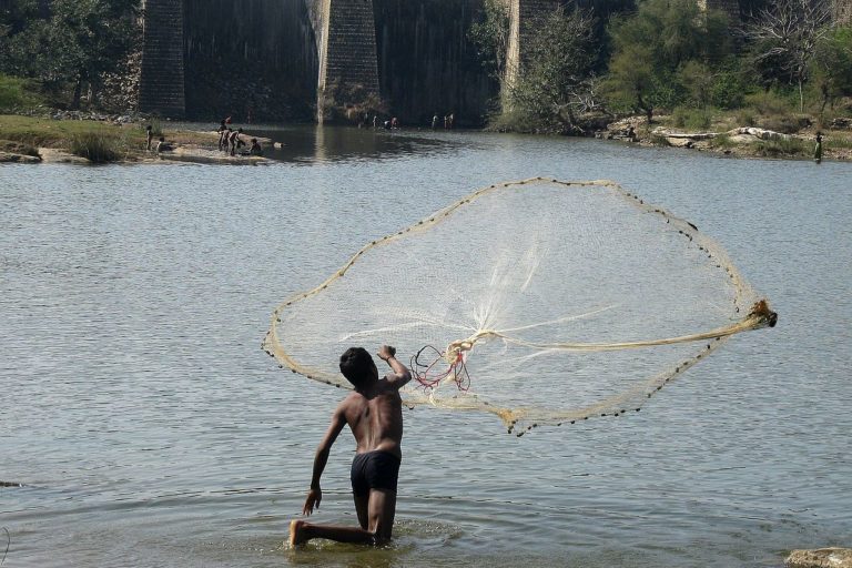 Fisher man throwing fishing net for catching fish for food Stock