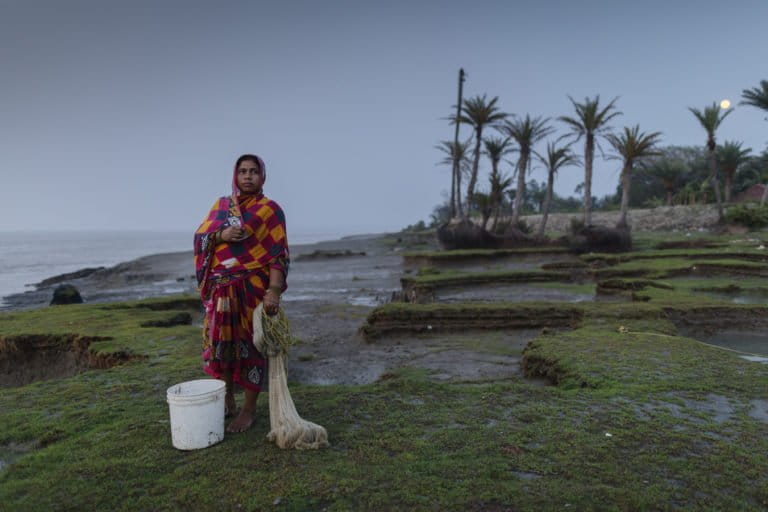 The Sundarbans: frontlines of climate change for tigers and people - Mongabay-India