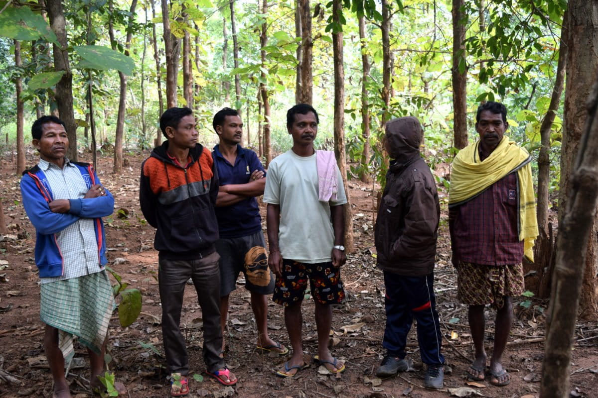 Kutia Kandhas living in Belghar gram panchayat in Odisha are deprived of all ecosystem services since the government conducted teak plantation in their forest. Photo by Basudev Mahapatra.