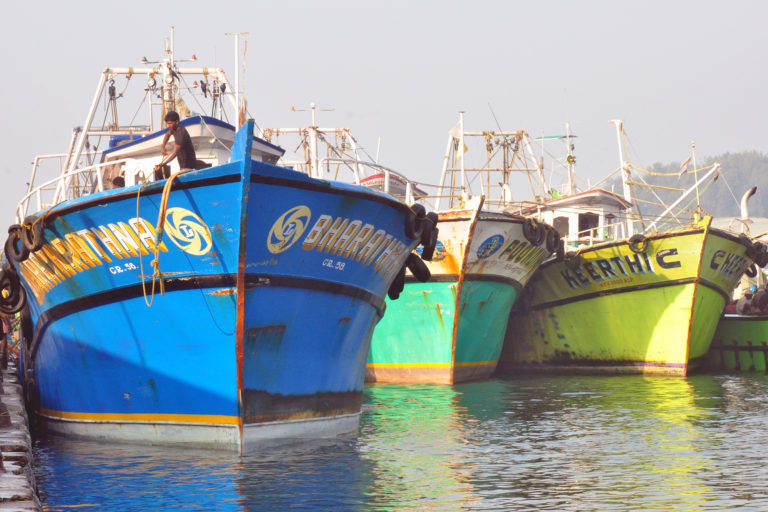 Fishing vessels at a harbour in Kerala. Photo by Sibasis Guha/ICAR-CIFT.