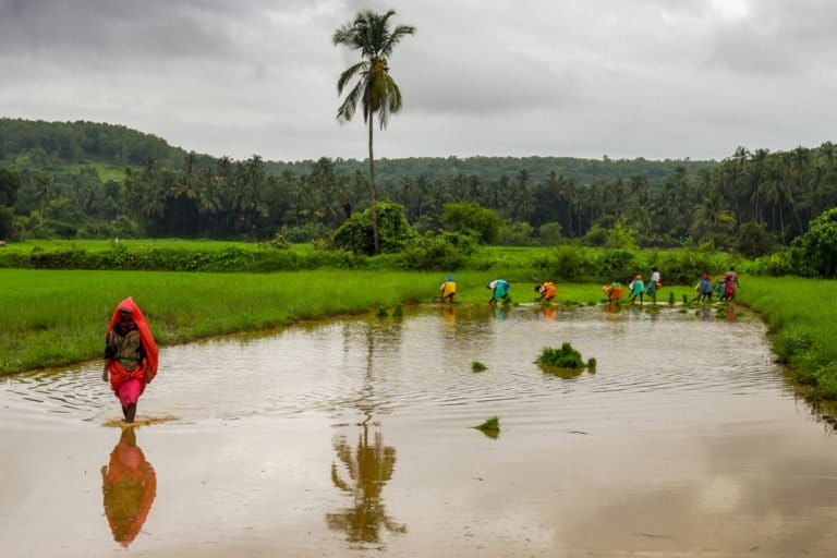 News of a normal monsoon that is still the mainstay of India's economy has brought some hope for a stressed economy and government. Photo by Rajarshi Mitra/Flickr.