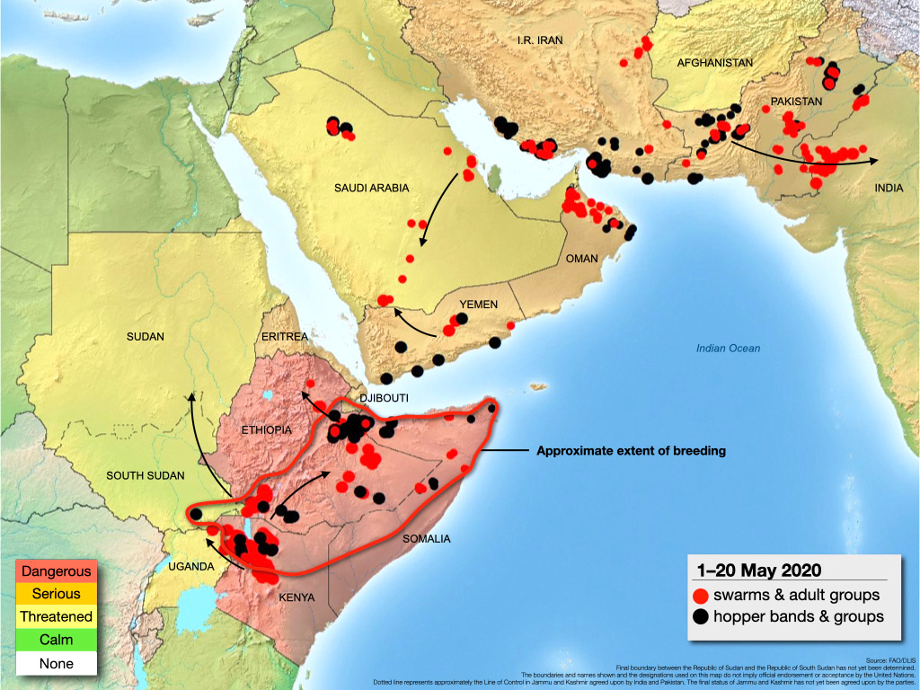 Climate change favours locust swarms, India increasingly at risk