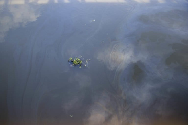 Condensate in a water body around the oil well after the disaster. The accident site is less than a kilometre from the Dibru Saikhowa National Park and only 500 metres from the wetland Maguri-Motapung Beel. Photo by Imon Abedin.