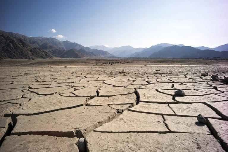 case study of drought in india wikipedia