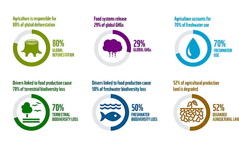 The Living Planet is in danger due to severe biodiversity loss