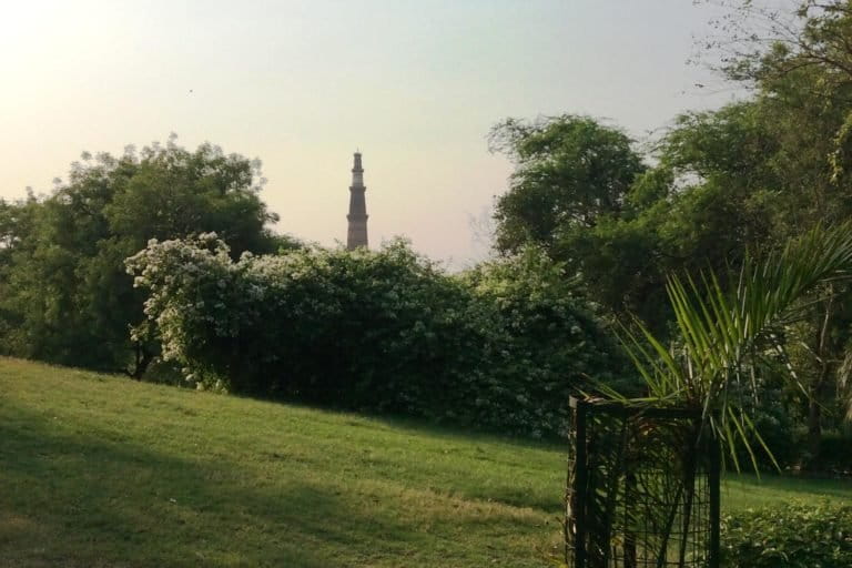 View of Qutub Minar from Mehrauli Archaeological Park. Photo by Deepanwita Gita Niyogi.