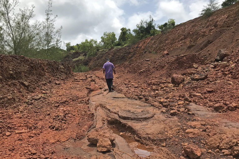 Sakaram Pednekar, a local farmer and activist, walking on what was once agricultural land. Photo by Supriya Vohra.