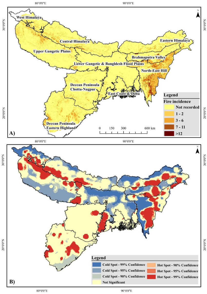 In the Northeast Hills province, fire from slash-and-burn-cultivation is a major threat to the species. Image from Das et.al.