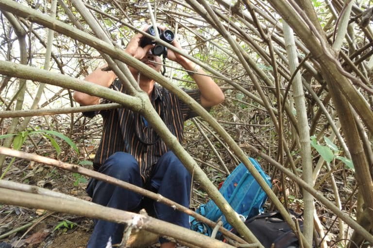 A Hornbill Nest Adoption Programme nest protector watching a hornbill nest in Arunachal Pradesh. The programme, though paused for a few months during and after the lockdown, has now been revived due to local help. Photo by Devathi Parashuram.