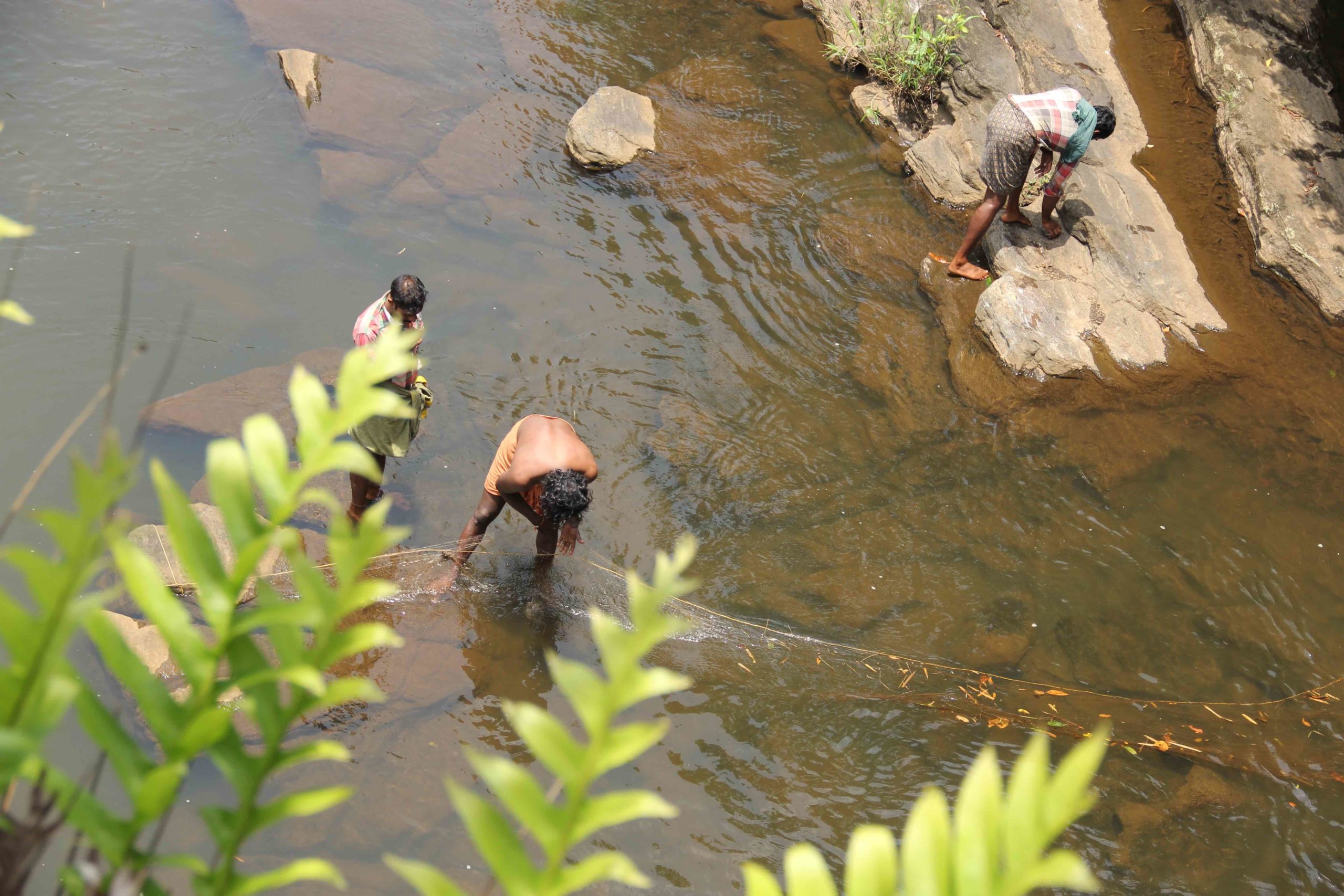 Youth from the Kadar community in Athirapilly fishing in a tributary. Photo credit by Aathira Perinchery.