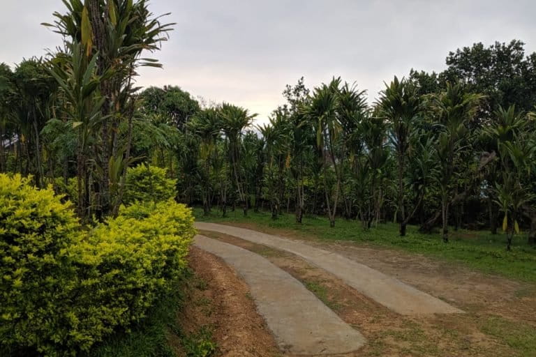 The scenic Azuram village, Tamenglong's first Model Community Forest. Photo by Nehemiah Panmei.