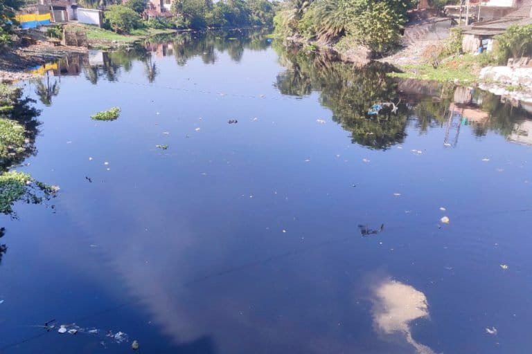 canal carrying waste flowing at Paschim Rajbati village. Photo by Gurvinder Singh.