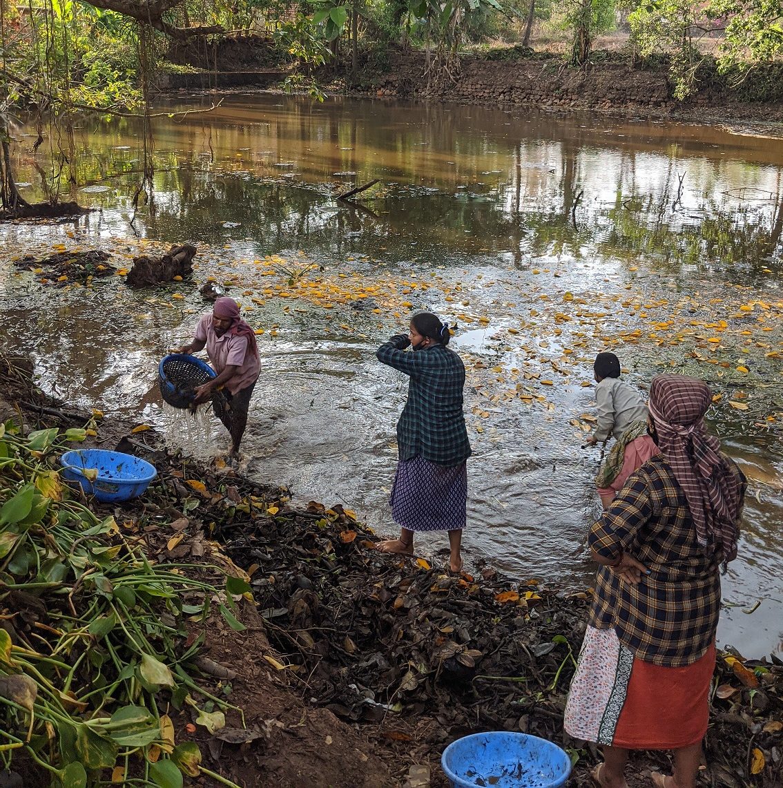 The lamani women helping