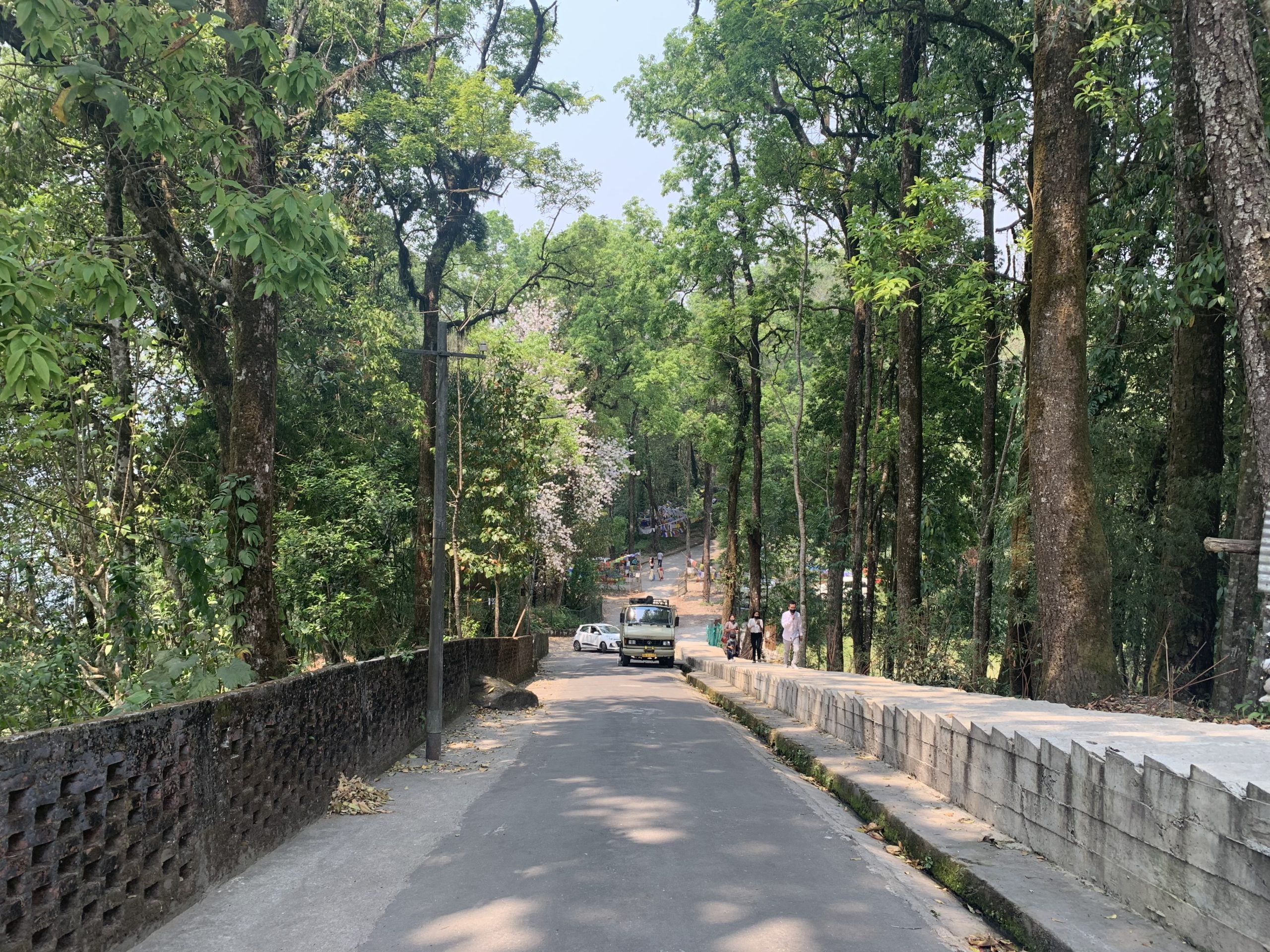 Deorali sacred forest associated with Deorali Chorten Monastery. Photo by Bijayalaxmi et.al.