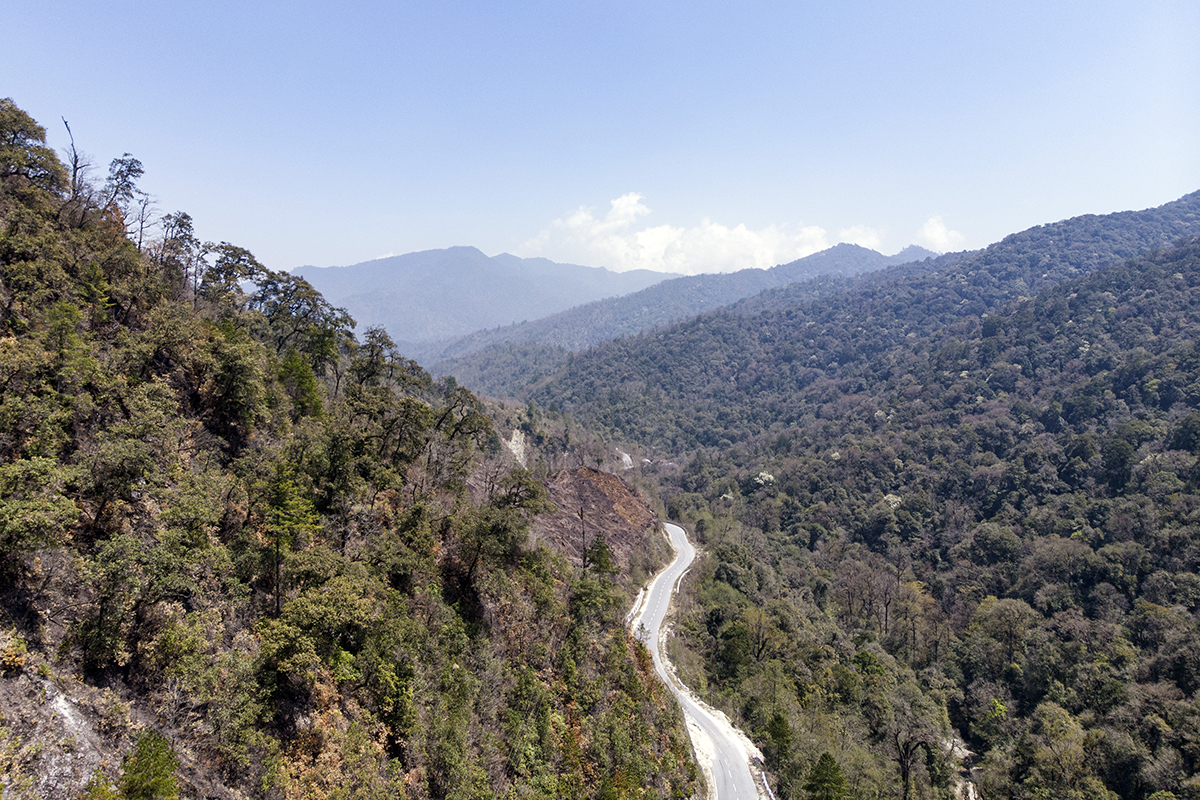 The bear's habitat in northeast India has reduced by 50% since 1950. Habitat loss would lead to further population decline and also an increase in human-bear interactions. Photo by Sumit Das.