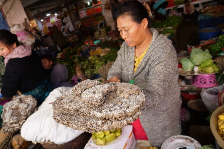 Woman selling hornet hive in Mao market in Kohima, Nagaland. Photo by Ajano Tsanglao.