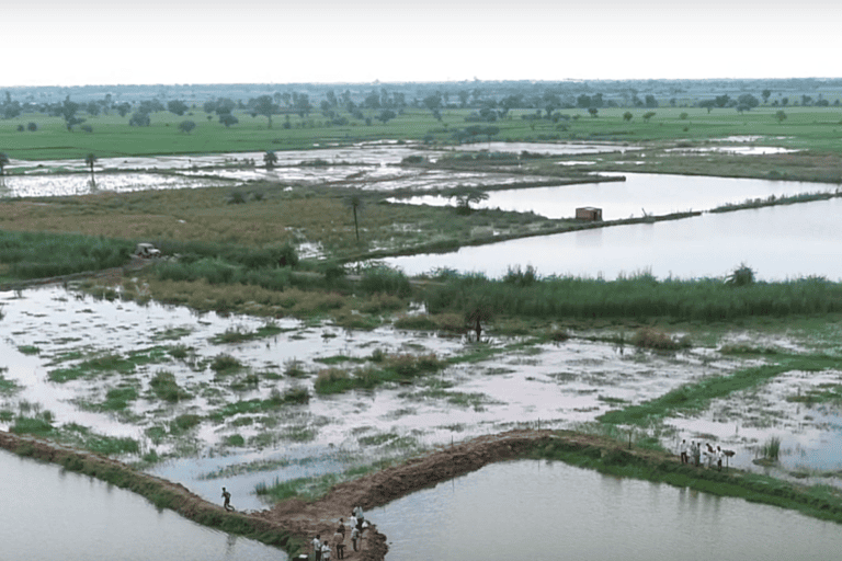 Land being used for culturing shrimp in Uttar Pradesh. Photo by Fisheries Department, Uttar Pradesh.