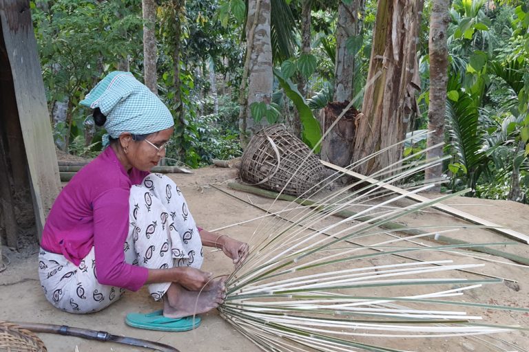 Agroforestry could play a role in reducing poverty. Photo by Animekh Hazarika.