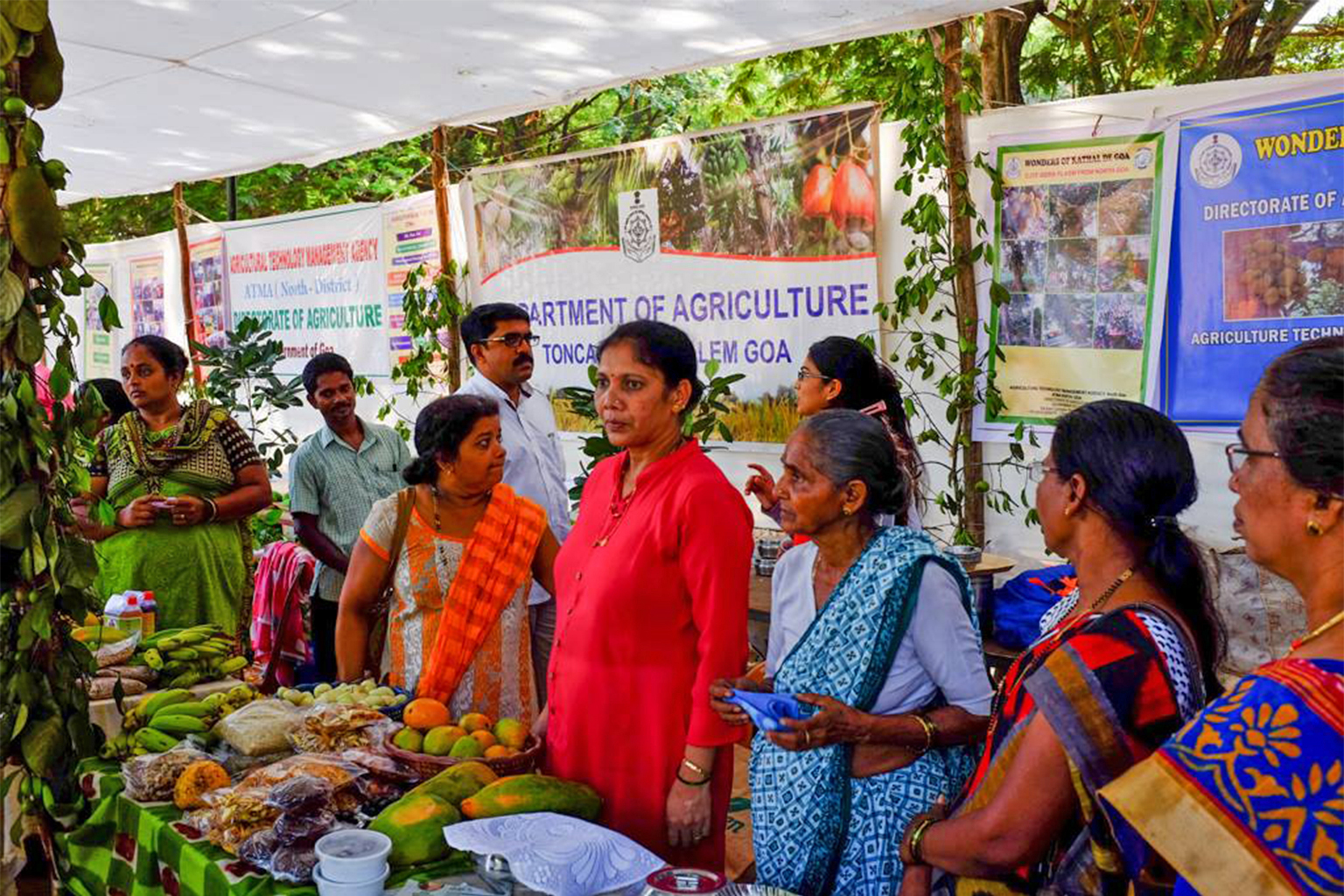 The Konkan Fruit Fest and how it preserves biodiversity